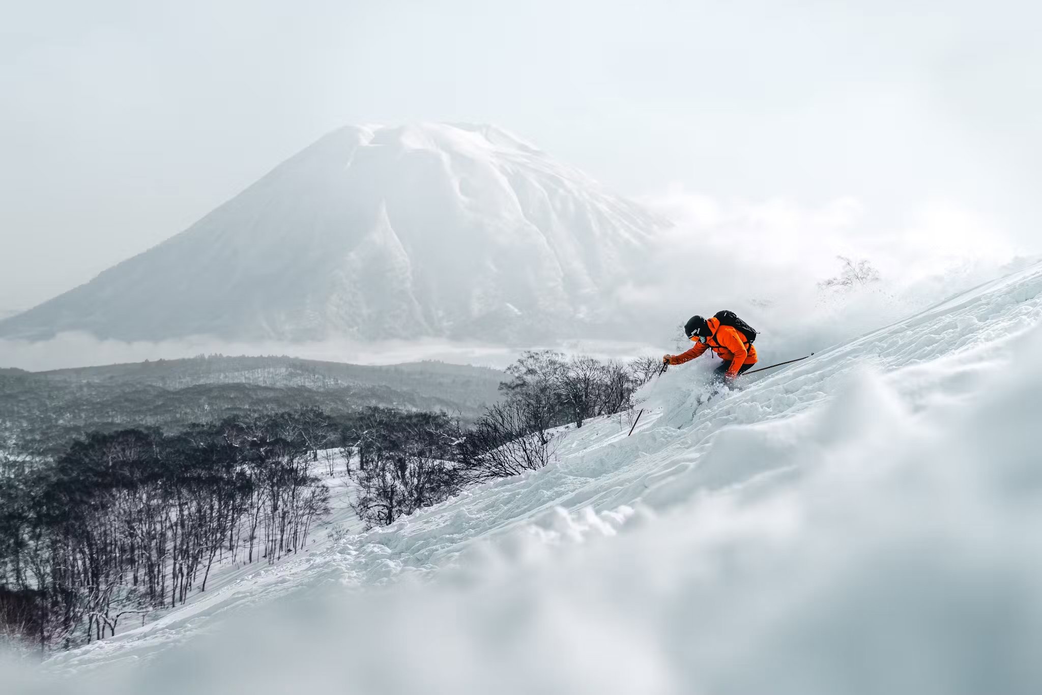 To Niseko... or not to Niseko? Choosing the Right Japan Ski Resort