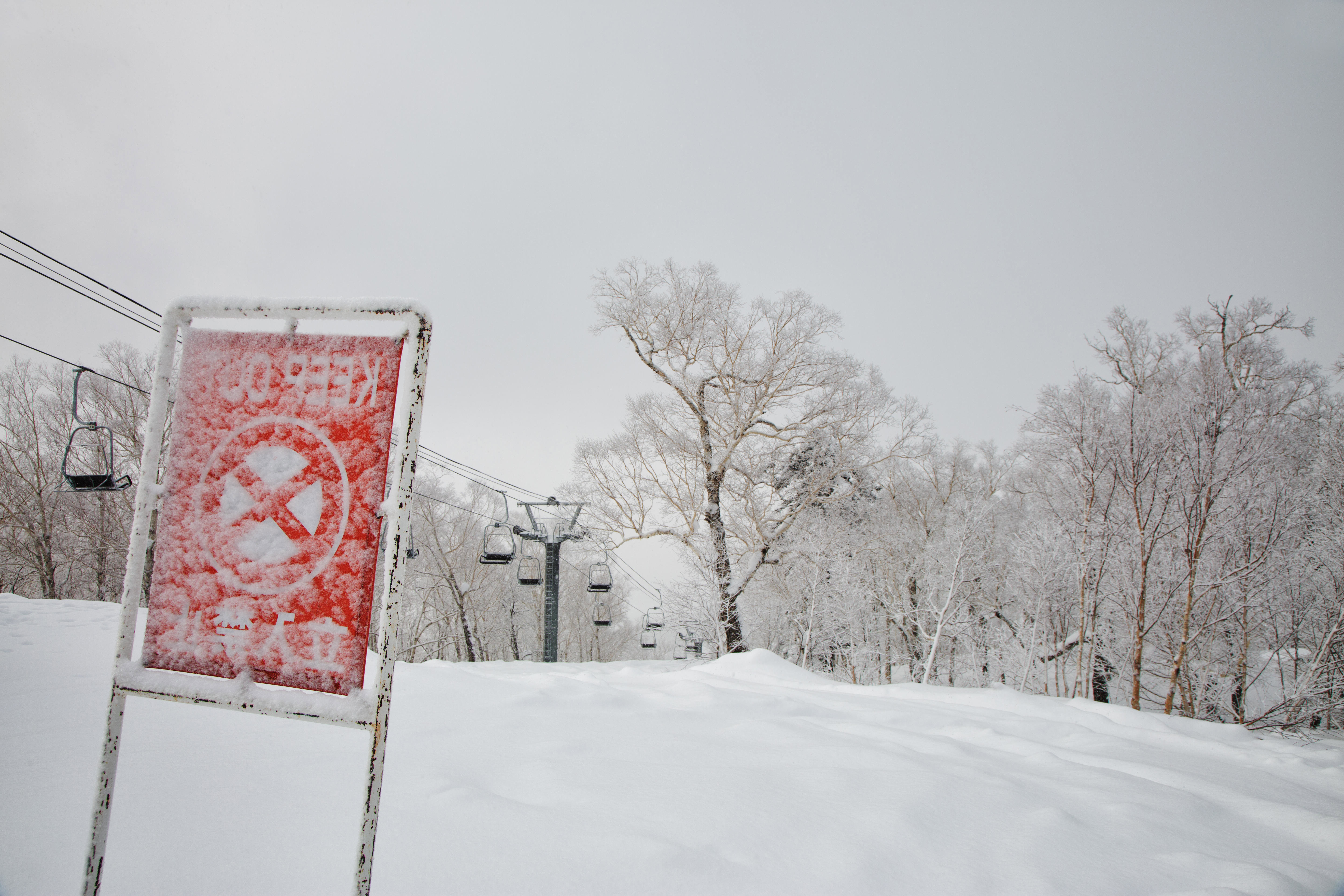 WHICH IS THE BEST MONTH TO  SKI IN JAPAN?